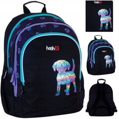 Skolas mugursoma Hash Best Friend AB350 502023105, 20 l, 39x28x15 cm cena un informācija | Skolas somas | 220.lv