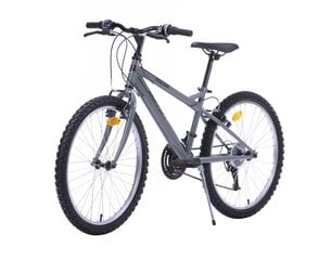 Велосипед Bottari Torino 24'', серый цена и информация | Bottari Товары для детей и младенцев | 220.lv