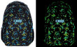 Skolas mugursoma AstraBag Neon Effect Skate AB330 502022006, 20 l, 39x28x15 cm cena un informācija | Skolas somas | 220.lv