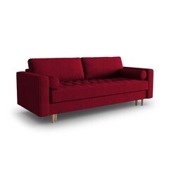 Dīvāns Gobi, 225x100x96 cm, sarkans cena un informācija | Dīvāni | 220.lv