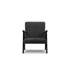Krēsls Browne, 79x59x78 cm, melns цена и информация | Кресла в гостиную | 220.lv