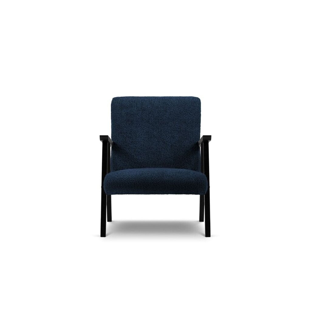 Krēsls Browne, 79x59x78 cm, zils cena un informācija | Atpūtas krēsli | 220.lv