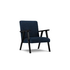 Кресло Browne, 79x59x78 см, синее цена и информация | Кресла в гостиную | 220.lv