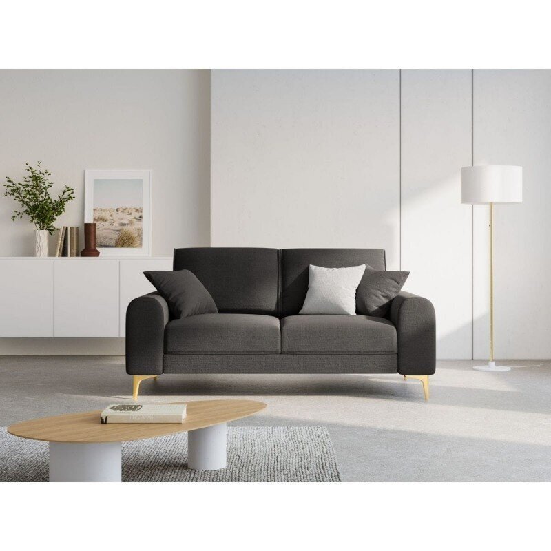 Divvietīgs dīvāns Larnite, 172x102x90 cm, tumši pelēks cena un informācija | Dīvāni | 220.lv
