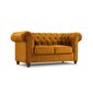 Divvietīgs dīvāns Lapis, 170x90x80, dzeltens цена и информация | Dīvāni | 220.lv