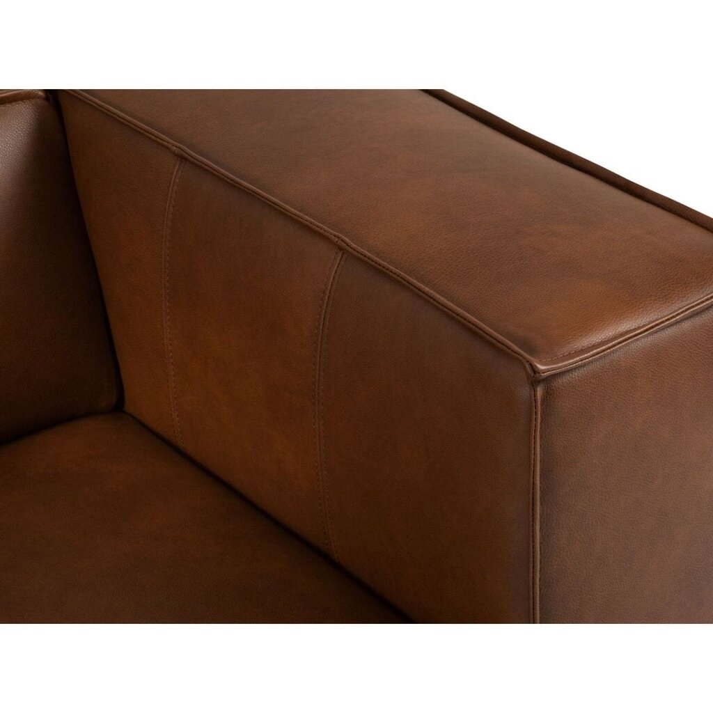Sešvietīgs ādas stūra dīvāns Agawa, 365x270x68 cm, brūnas krāsas cena un informācija | Stūra dīvāni | 220.lv