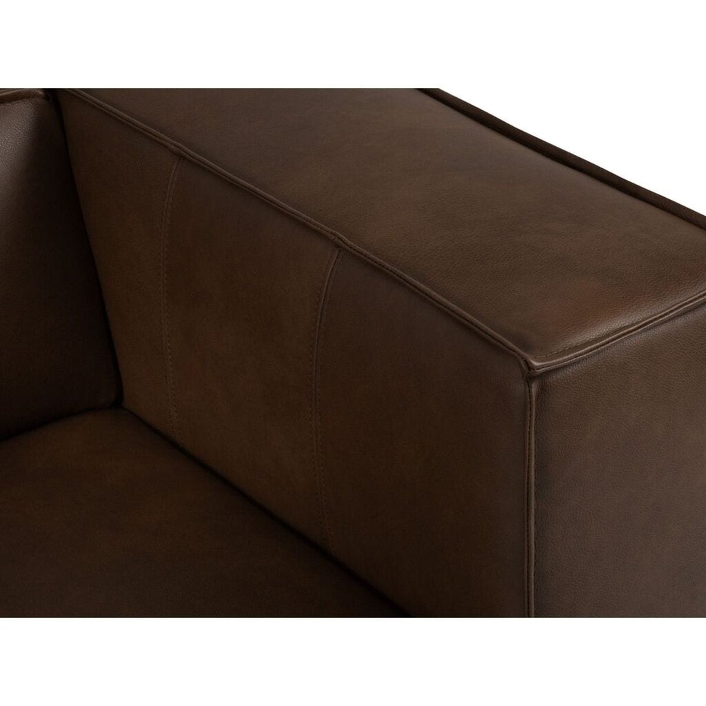Divvietīgs ādas dīvāns Agawa, 211x100x68, tumši brūns cena un informācija | Dīvāni | 220.lv