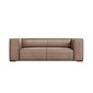 Divvietīgs ādas dīvāns Agawa, 211x100x68, smilškrāsas cena un informācija | Dīvāni | 220.lv