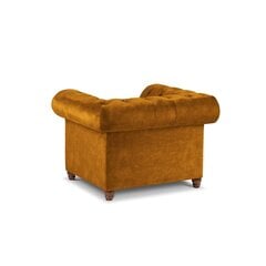 Krēsls Lapis, 114x90x80 cm, dzeltens cena un informācija | Atpūtas krēsli | 220.lv