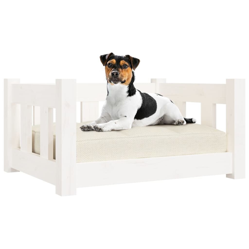 vidaXL suņu gulta, 55,5x45,5x28 cm, priedes masīvkoks, balta cena un informācija | Suņu gultas, spilveni, būdas | 220.lv