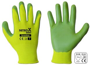 Sodo ir darbo pirštinės Bradas NITROX MINT, 6 dydis, 6 vnt. цена и информация | рабочие перчатки | 220.lv