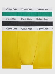 CALVIN KLEIN Trunk 3pk Chc Htr 545665277 цена и информация | Мужские трусы Nek, черные | 220.lv