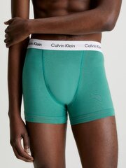 Apakšbikses vīriešiem Calvin Klein 545665277, dažādas krāsas, 3gab. cena un informācija | Vīriešu apakšbikses | 220.lv