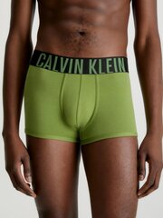 Apakšbikses vīriešiem Calvin Klein 545665291, zaļa/zila, 2gab. cena un informācija | Vīriešu apakšbikses | 220.lv