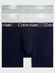 CALVIN KLEIN Boxer Brief 3pk Galaxy Gry 545665296 цена и информация | Мужские трусы Nek, черные | 220.lv