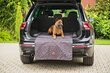 Aizsargājošs automašīnas bagāžnieka paklājiņš suņiem Amibelle, 100 x 70 cm cena un informācija | Ceļojumu piederumi | 220.lv