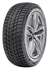 Radar Dimax Alpine 215/55R18 99 V XL ROF cena un informācija | Ziemas riepas | 220.lv