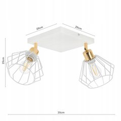 Ledlux piekaramā lampa LX-1369 cena un informācija | Lustras | 220.lv