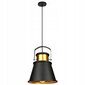 Ledlux piekaramā lampa LX-1170 cena un informācija | Lustras | 220.lv