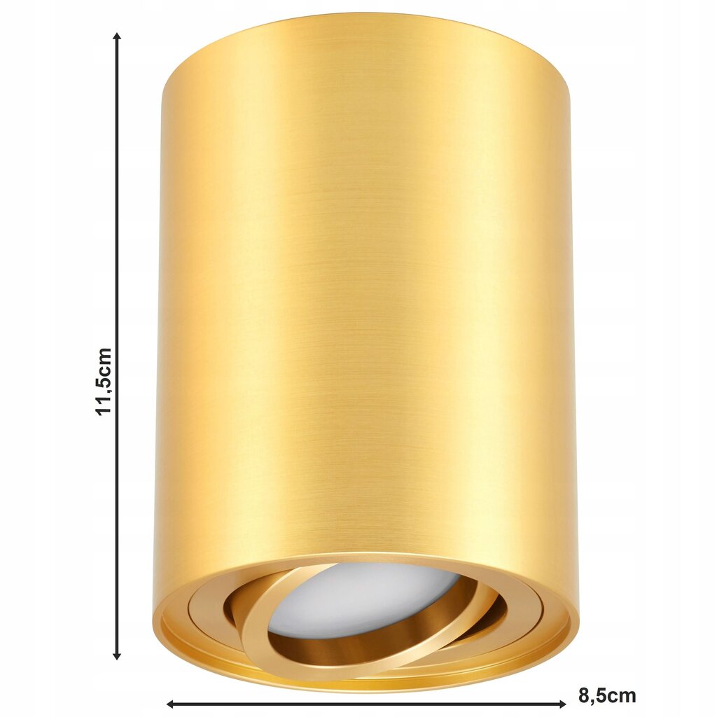 Ledlux piekaramā lampa LX-63 цена и информация | Piekaramās lampas | 220.lv