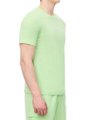 T-krekls vīriešiem EA7, zaļš 280546273 cena un informācija | Vīriešu T-krekli | 220.lv