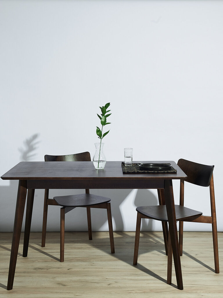 Pegasus 120cm taisnstūrveida koka pusdienu galds цена и информация | Virtuves galdi, ēdamgaldi | 220.lv