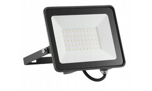 Галогенная лампа/прожектор. LED 4500 лм 50 Вт цена и информация | Фонарики | 220.lv