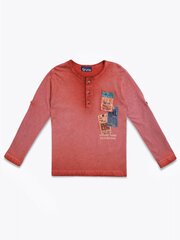 BRUMS Orange 520088387 цена и информация | Рубашки для мальчиков | 220.lv