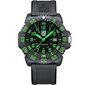 Vīriešu rokas pulkstenis Luminox Sea Lion Carbonox™ X2.2067 cena un informācija | Vīriešu pulksteņi | 220.lv