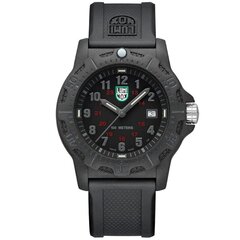 Vīriešu rokas pulkstenis Luminox Never Get Lost Carbonox™ X2.2032 cena un informācija | Vīriešu pulksteņi | 220.lv