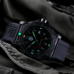 Vīriešu rokas pulkstenis Luminox Never Get Lost Carbonox™ X2.2032 cena un informācija | Vīriešu pulksteņi | 220.lv