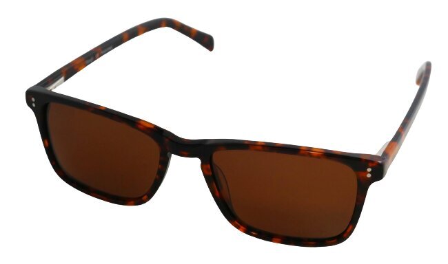 Polarizētas Saulesbrilles Vīriešiem Trendy SP124 C1 55-19, Havana Krāsas цена и информация | Saulesbrilles  vīriešiem | 220.lv