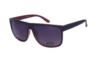 Солнцезащитные очки для мужчин A-Z CASUAL8110 AP, коричневые цена и информация | Солнцезащитные очки для мужчин | 220.lv