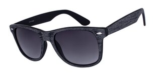 Солнцезащитные очки для мужчин A-Z ICONS 2220 C, черные & полосатые цена и информация | Солнцезащитные очки для мужчин | 220.lv