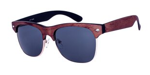 Солнцезащитные очки для мужчин A-Z ICONS 2260 C, коричневые & цвета дерева цена и информация | Солнцезащитные очки для мужчин | 220.lv