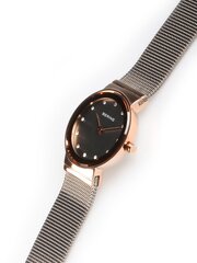 Женские часы Bering 10126-369 цена и информация | Женские часы | 220.lv