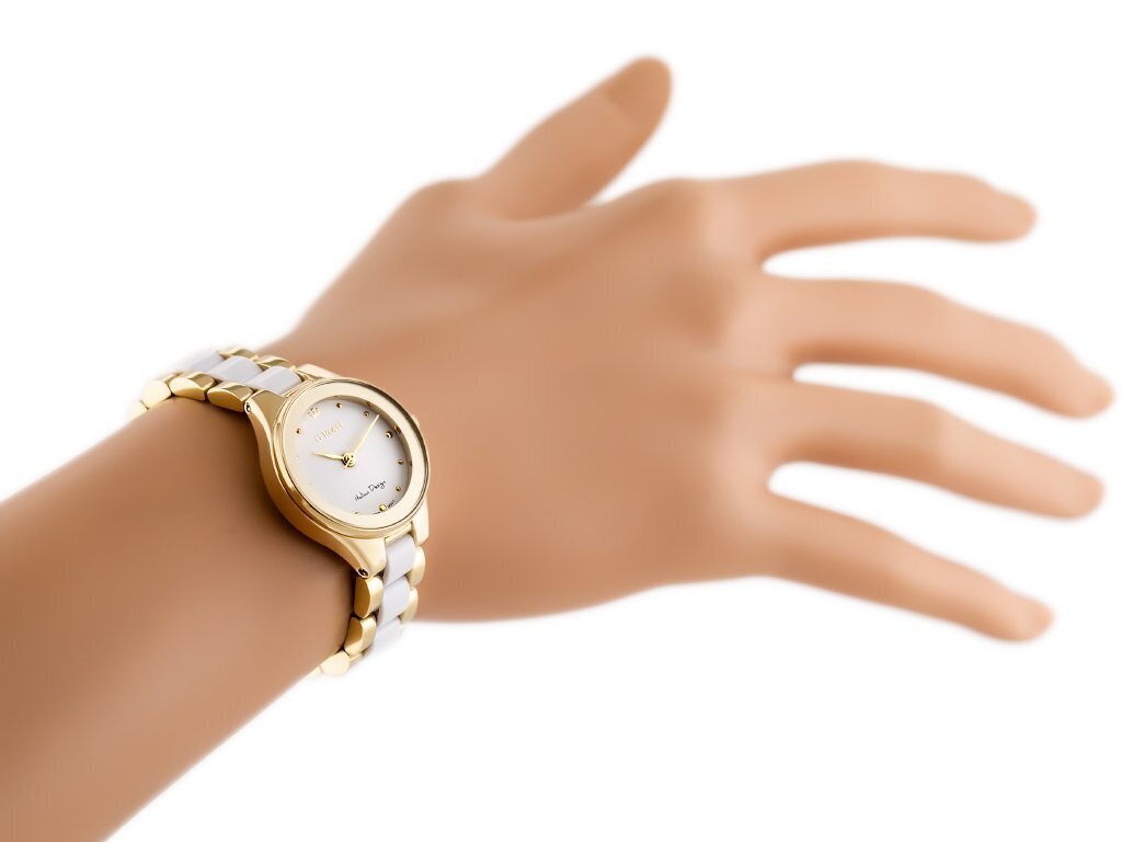 Sieviešu pulkstenis Gino Rossi 11041B zg740b cena un informācija | Sieviešu pulksteņi | 220.lv