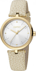 Женские часы Esprit ES1L296L0045 цена и информация | Женские часы | 220.lv