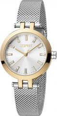 Женские часы Esprit ES1L331M0105 цена и информация | Женские часы | 220.lv
