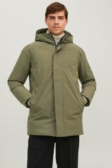 Ziemas jaka JACK & JONES 12238561GRAPELEAF-S cena un informācija | Vīriešu virsjakas | 220.lv