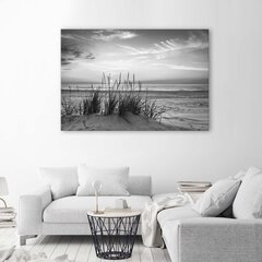 Холст, травы на пляже - черно -белый 59,99 цена и информация | Картины | 220.lv