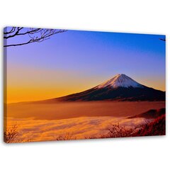 Glezna Fuji kalns peldējās saules gaismā cena un informācija | Gleznas | 220.lv