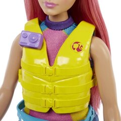 Mattel Кукла Barbie Camping Daisy Playset цена и информация | Игрушки для девочек | 220.lv