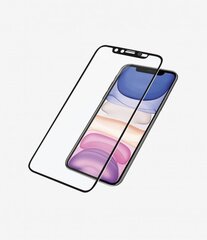 PanzerGlass ekrāna aizsargstikls iPhone XR 6.1" (2019) цена и информация | Защитные пленки для телефонов | 220.lv