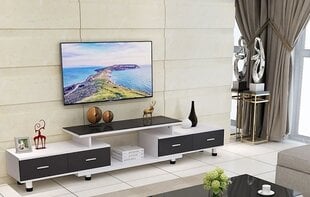 TV statīvs Eleanor, 160x41x31 cm, balts/melns cena un informācija | TV galdiņi | 220.lv
