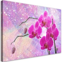 Glezna uz audekla, Abstraktie rozā orhideju ziedi cena un informācija | Gleznas | 220.lv