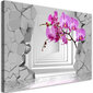 Glezna uz audekla, Orhideja abstrakts 3D cena un informācija | Gleznas | 220.lv