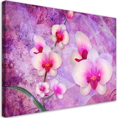 Glezna uz audekla, Orhideju ziedu abstrakcija цена и информация | Картины | 220.lv