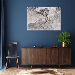 Glezna uz audekla, Pegasus abstrakts cena un informācija | Gleznas | 220.lv