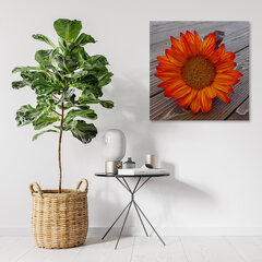 Принт холста, оранжевый подсолнух 29,99 цена и информация | Картины | 220.lv